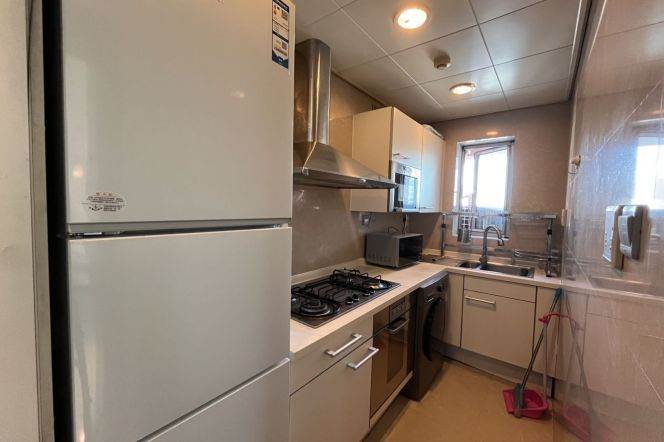 Morden 1bedroom with good view  in Lujiazui