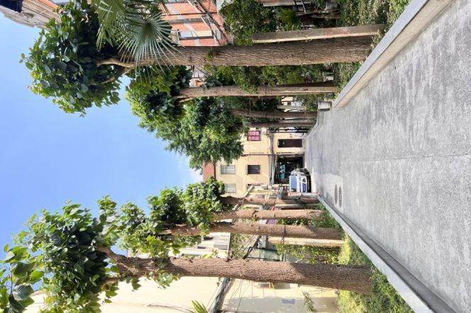 South Shanxi Rd Station Loft 2Br Line1/10/12 Iapm