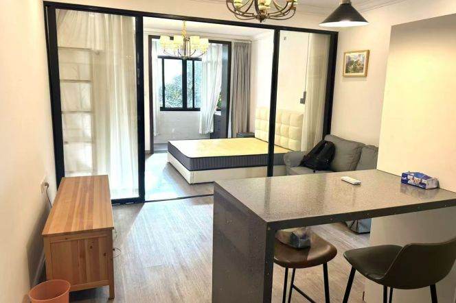 Full furnished 1br/1Living &facing south@Xinhua Rd & Line 3/4
