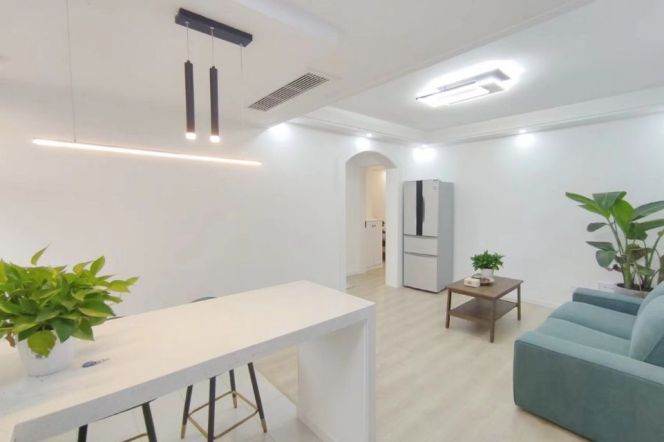 Cozy bright 2brs 1lr Nr L1/3/4 Shanghai railway station