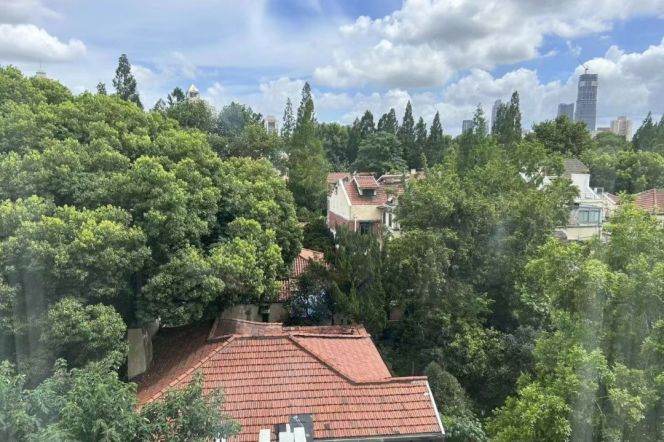 Bright Big 2Br Furnished Oven. Anfu Rd