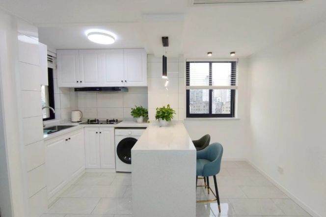 Cozy bright 2brs 1lr Nr L1/3/4 Shanghai railway station