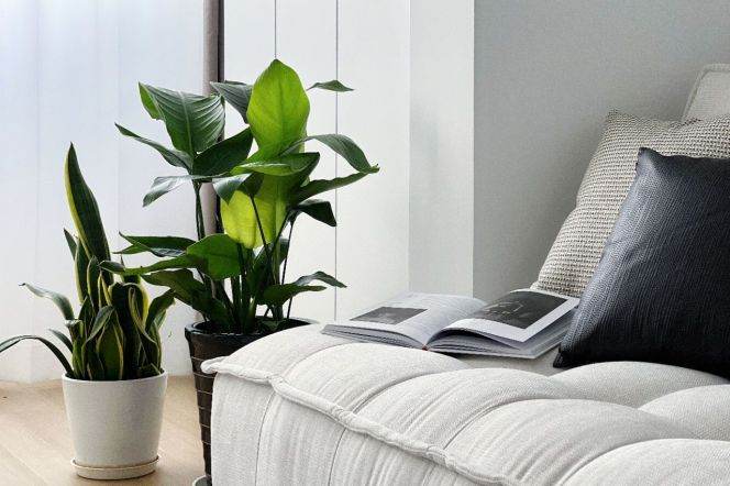 elevator 1br Nr west Nanjing road M2/12/13