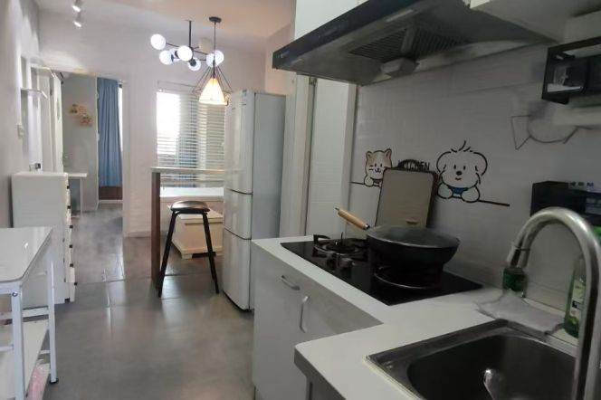 Full furnished 1br/1Living & facing south @Zs Park & Line 2/3/4