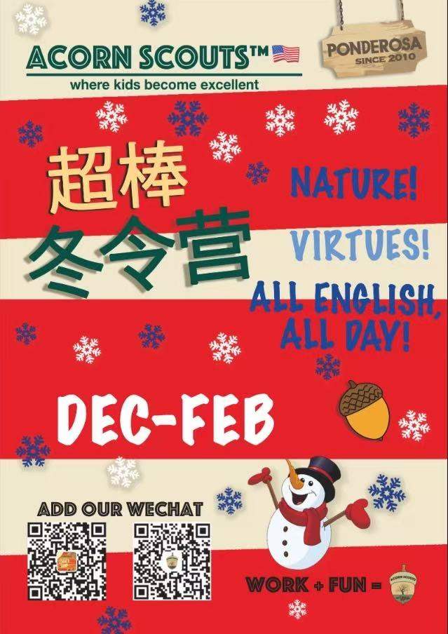 Acorn Scouts STEAM Winter Camp