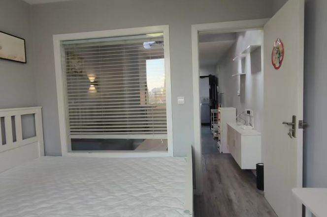 Full furnished 1br/1Living & facing south @Zs Park & Line 2/3/4