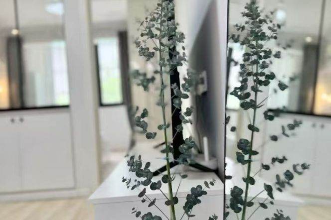 wuning rd station one bedroom