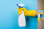 Cleaning Services