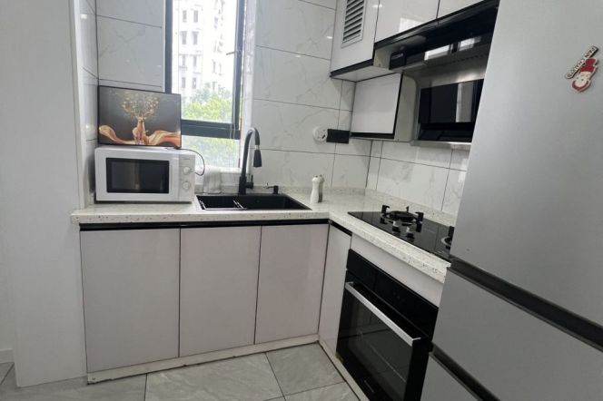1 br near L2/L7/L14 jing'an temple station+elevator