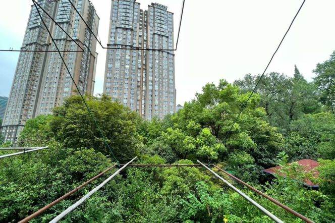 Cozy bright 1br Nr Zhongshan park M2/3/4