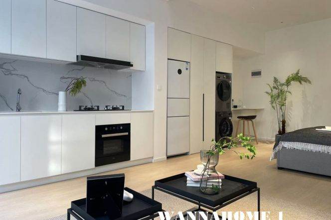 Modern&Bright&Spacious 1Bdr 1Bath Apt+Nice Terrace+West Nanjing Rd CBD