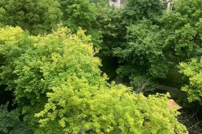 nice 3brs open balcony in most popular compound Xintiandi only 28K