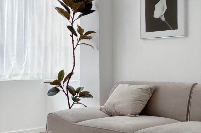 Cozy 1Br, elevator, Nr Jing An Temple station