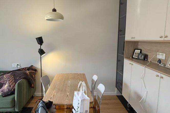 full of sunlight- loft style with spacious livingroom- line 1/7 changshu road