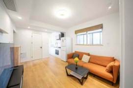 (w)nanjing rd elevator 1BR/living room@L2/12/13