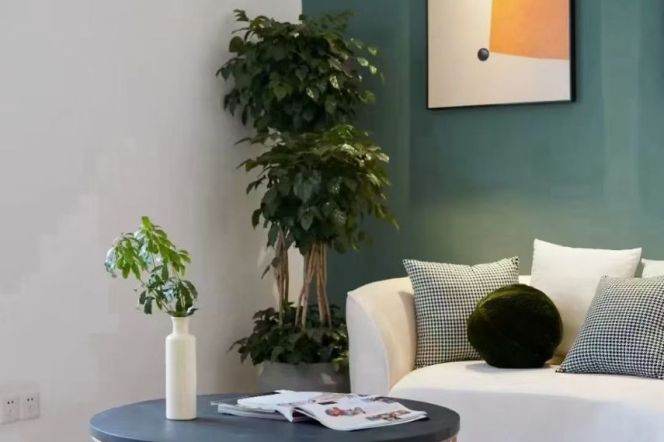 Spacious and bright 3Br/2bt@Jiaotong university 160sqm with open kitchen 