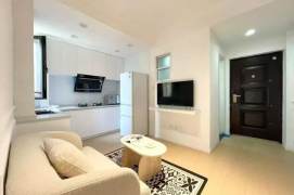 1 br near L3/L4 shanghai railway station +lift