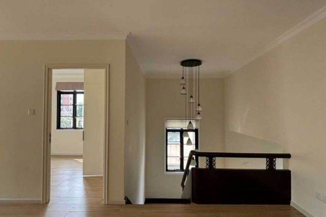 iapm/south Shaanxi rd 2br120sqm