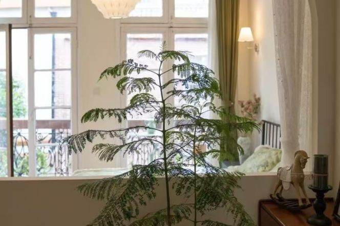 historical old villa- bathtub-balcony- floor heating- quiet room- Jing'an temple