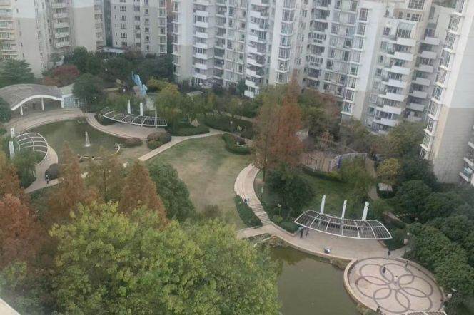 modern 3brs open balcony modern furniture in Lujiazui Huang pu river only 21K