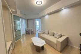 High rise one bedroom Apt with balcony near L2/11Jiangsu Rd