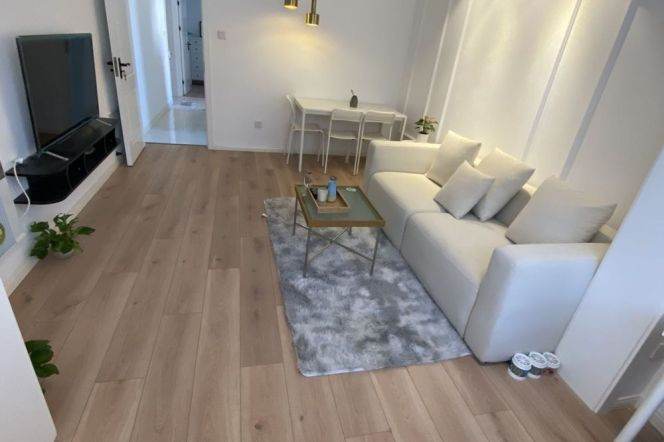 jinshajiang rd station one bedroom