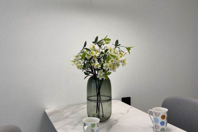 Cozy 1br 1lr Nr L2/3/4 zhongshan park sta