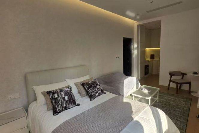 Brilliant high ceiling one bedroom Apt+gym+heating+central AC @Changping