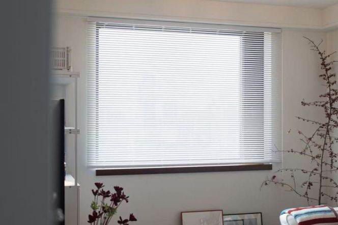 1Bdr 1bath Apt/Spacious&Sunny/L1/7 Chang Shu Rd/70sqm