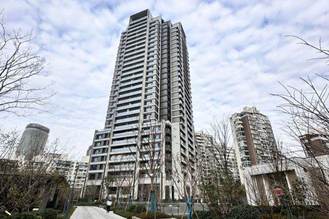 Exquiste 2+1BR Residence in New Compound/Lujiazui