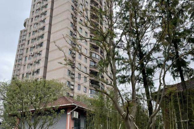 2 bright rooms jiangsu lu 2/11 Zhongshan park 3/2/4 