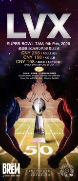 Super Bowl Viewing Party