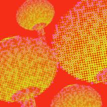 Yeah of the Year: Hai550 New Year Market