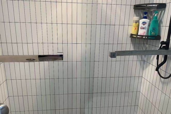 1 br near L9/L12 jiashan rd station+elevator