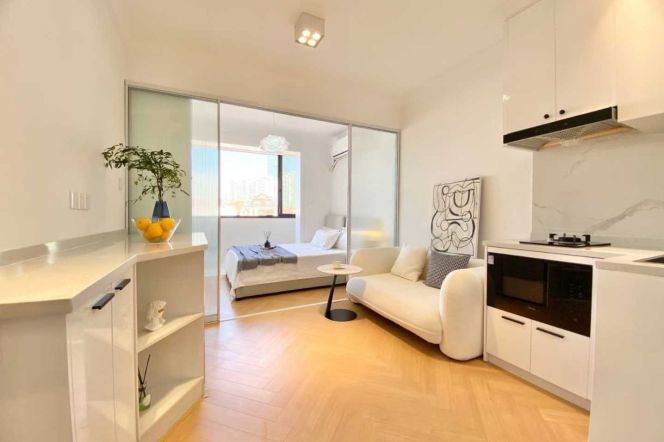 1 br near L2/L12/L13 west nanjing rd station