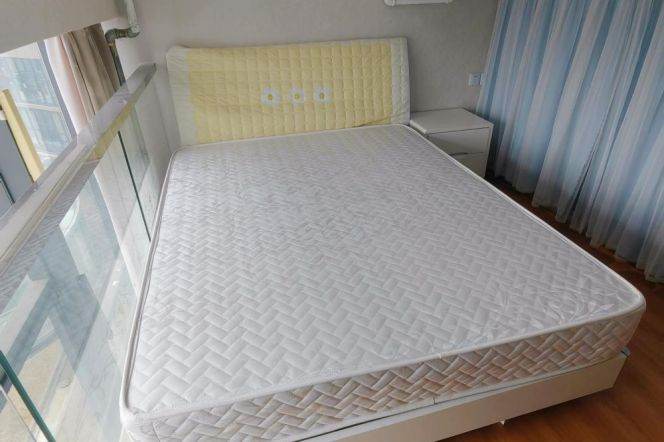 Good price duplex 2 br easy to NYU shanghai, 5 mins to L6 South LingYan Rd lingYan Rd St