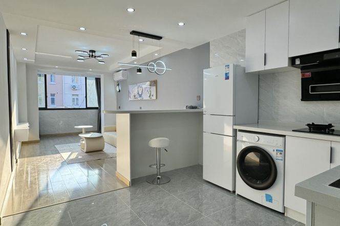 Big 1Br 65Sqm +All south /Zhongshan Park & Jiangsu Rd Mt /South/Bright /7.6K