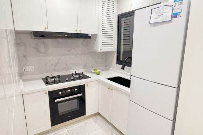 Modern elevator 1br Nr Jiangsu road M2/11