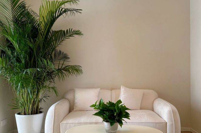 Large Terrace+Modern&Spacious&Bright 2Bdrs 1Bath Apt+L1/7 Chang Shu Rd+IAPM