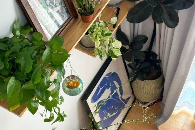 Cool loft 1Br/2Lr/1Bt Close to L10/13 Xintiandi Metro Station 