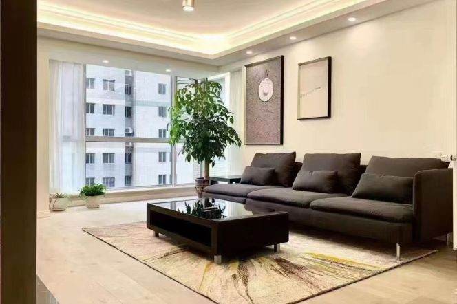 modern 2brs near jing an temple CBD and metro line 13,14 asking 19K 