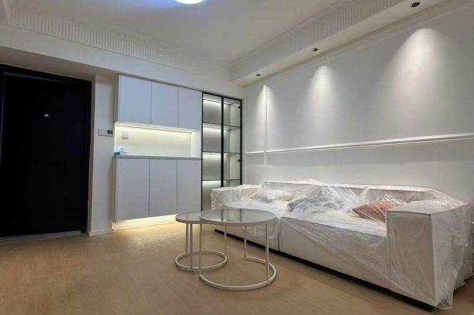  brand new elevator 1br central AC floor heating  Nr jiangning road M13