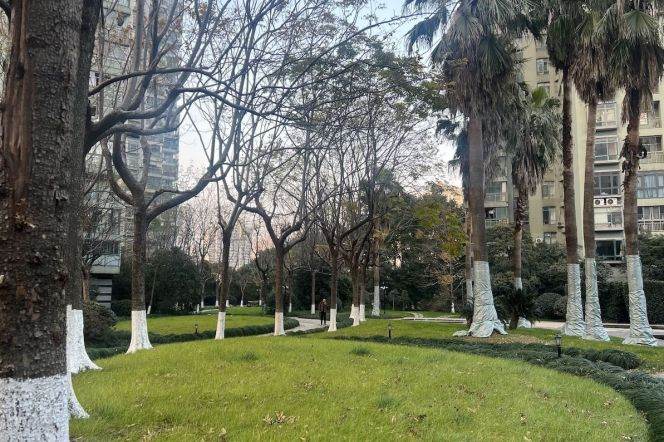 Suzhou River view, floor-to-ceiling windows, three sides open, with parking spaces，L3-4-7