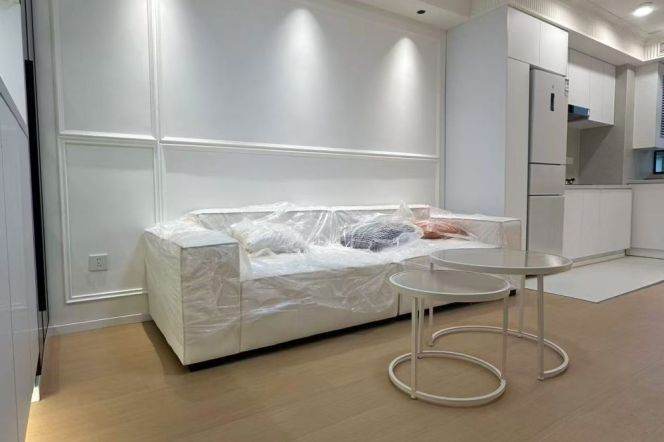  brand new elevator 1br central AC floor heating  Nr jiangning road M13