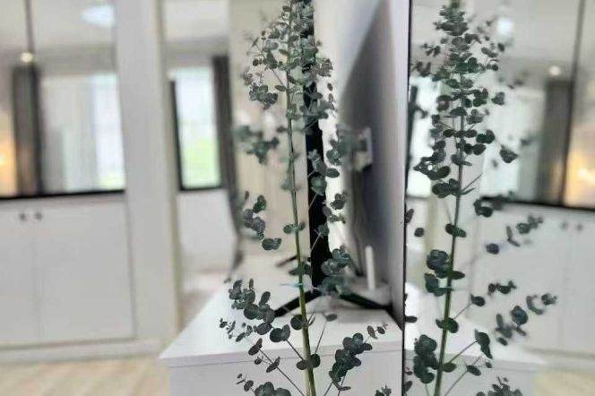 1 br near L13/L14 changshou rd station+ECNU