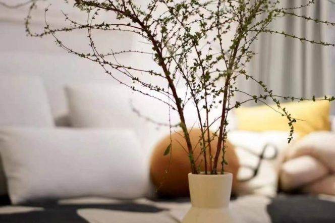 2+1 Rooms, 2 Baths with Open Balcony, Floor Heating, 130 sqm @ West Nanjing metro L2