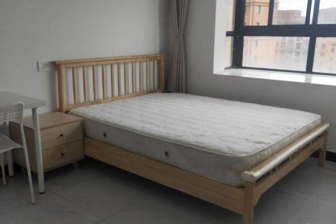 Shanghai University studio (abundant) can long and short term least 