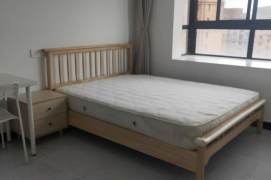 Shanghai University studio (abundant) can long and short term least 