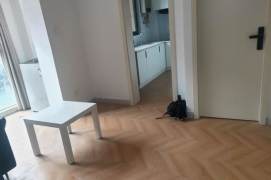 Shanghai University studio (abundant) can long and short term lease 