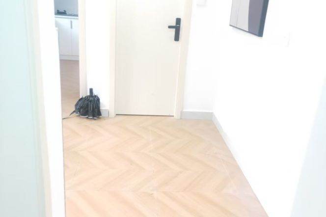 Shanghai University studio (abundant) can long and short term lease 